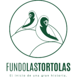 Parcelas en Puerto Varas - Fundo Las Tortolas