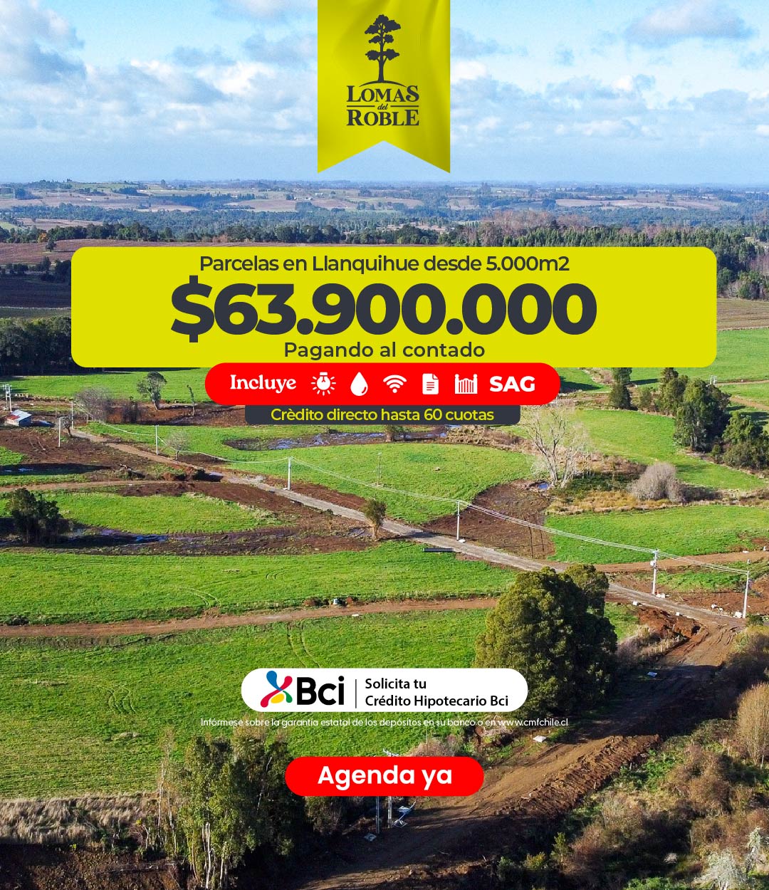 Banners web IP act nov-07