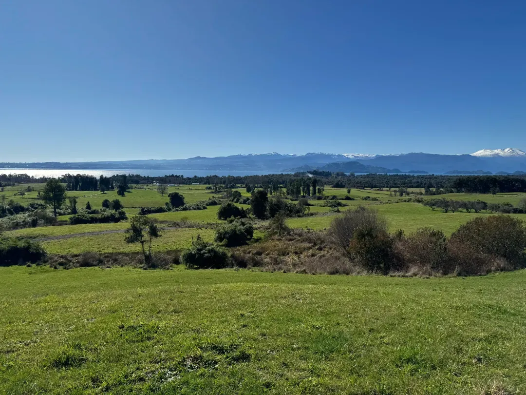 IMG_8487_11zon-p-1080