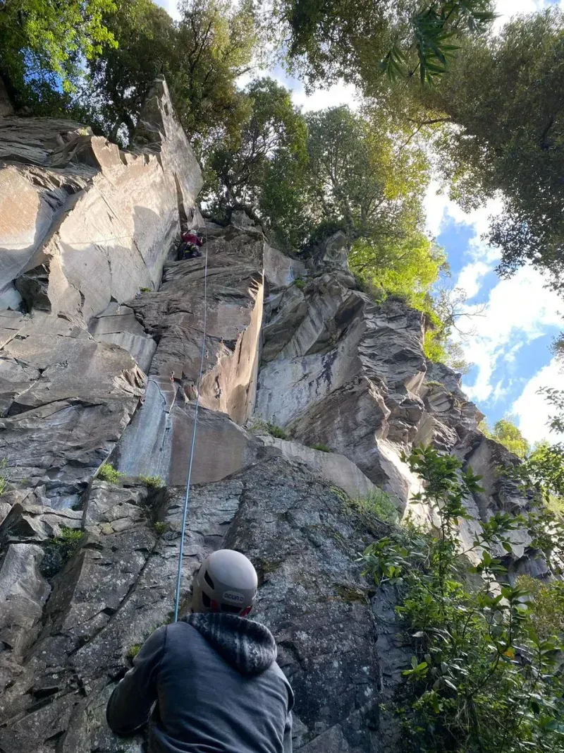 WhatsApp-Image-2024-06-28-at-12.04.29-p-800