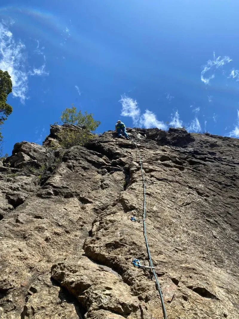 WhatsApp-Image-2024-06-28-at-12.04.30-1-p-800